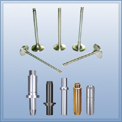 Engine Valves & Guides